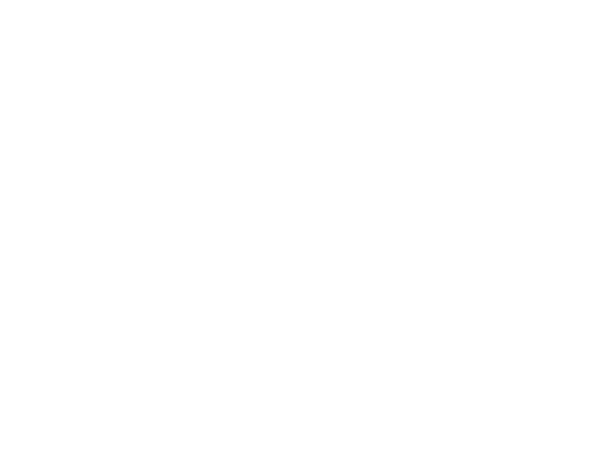 The Fairway Masters